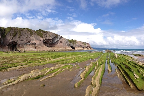 Flysch de Zarautz
